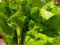 -百岁鱼(七一路店)