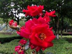 -白塘生态植物园