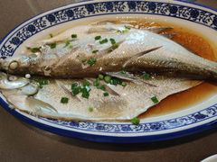 清蒸白水鱼-品渔味湖鲜馆(拈花湾店)