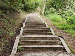 -青龙山国家森林公园