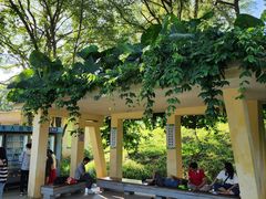 -东莞植物园