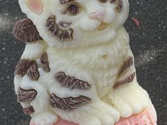 -杭州野生动物世界