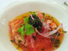 -蝶舍·MAISON PAPILLON