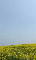 -巴黎春天·菀纱仙庭婚纱美学