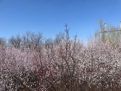 -朝阳体育中心