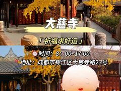 -王婆婆老妈蹄花川菜馆·非物质文化遗产(太古里一店)