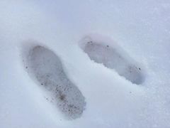 -硗碛藏寨·神木垒景区