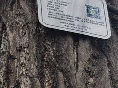 -金堂县云顶石城风景区