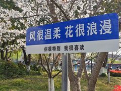 -高东镇樱花园