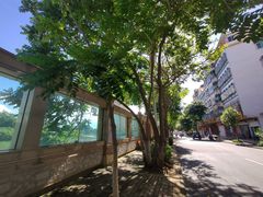 -东兴口岸-中越友谊大桥