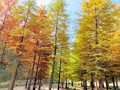 -南京市无想山景区