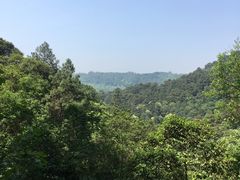 -三门江国家森林公园