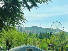 -南山公园