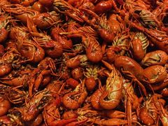 -新发展亚太JW万豪酒店·福苑咖啡厅