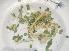 -九头鸟酒家(东高地店)