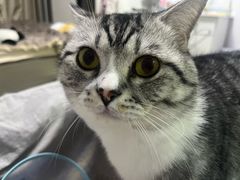 -美迦爱-牙专科·兔科·骨科诊疗中心(北苑店)