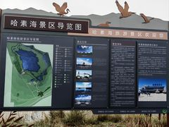 -哈素海