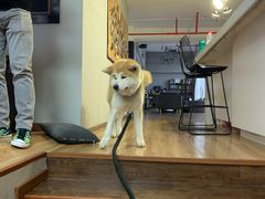 -YCHL Studios健身工作室(市二宫店)