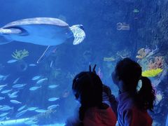 -太平洋海底世界