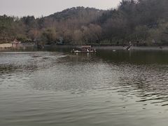 -北岭山森林公园