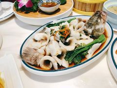 广式葱捞鲈鱼（嫩滑没什么刺哟）-顺粤楼·粤菜·点心(融创茂店)