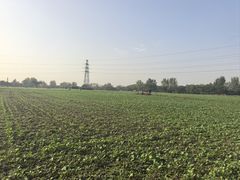 -汉长安城未央宫国家考古遗址公园