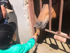 -月河湾马术俱乐部(朝阳店)