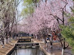 -三里河公园
