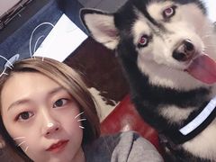 -百好乐宠物友好餐厅(朝外大街店)