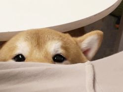 点击看大图 -Oasis Beauty水磨坊科技美肤中心