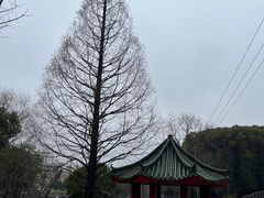 -九科绿洲