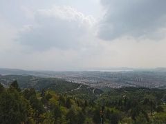 -府君山公园