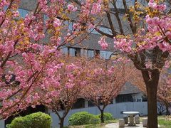 -大连理工大学(凌水校区)