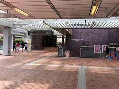 -香港大学