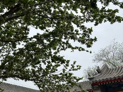 -恭王府博物馆