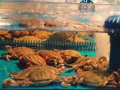 -在老街·淮安大排档·甜麻干煸龙虾·烧烤(河下古镇店)