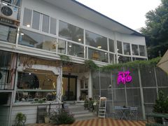 -有猫主题·治愈系猫咖(曾厝垵店)