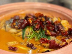 -柿合缘新京菜(国金中心商场店)