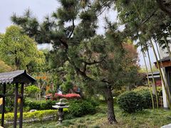 -扬州瘦西湖温泉