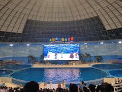 -泉城欧乐堡海洋极地世界
