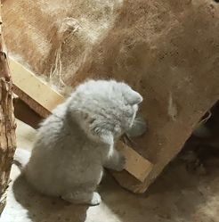 -酷嗒动物文化乐园(cutezoo西溪乐天城店)