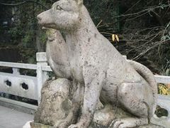 -藏龙百瀑风景区