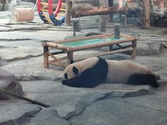 -武汉动物园