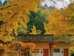-青城山