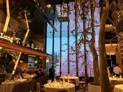 -桂满陇·海市蜃楼·黑金(国金店)