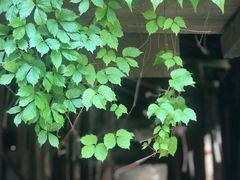 -书隐楼