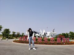 -盐城丹顶鹤湿地生态旅游区