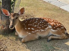 -南京金牛湖风景区