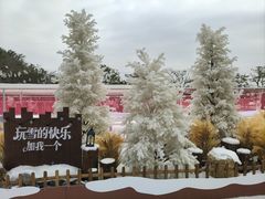-盈香心动乐园