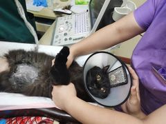 -瑞派康怡24h宠物医院·犬猫医疗中心·微创绝育(瑞景分院)